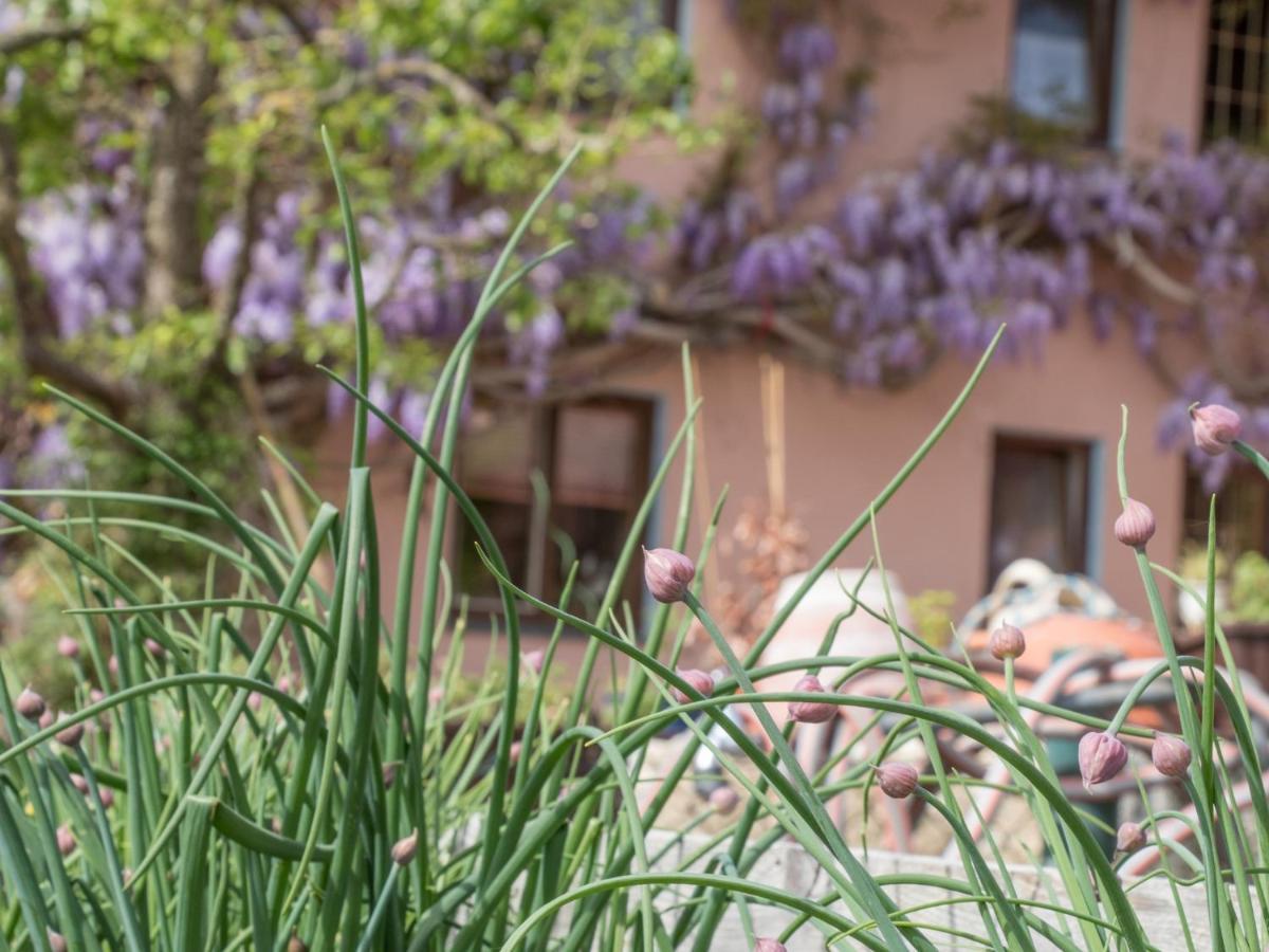Beim Danner Villa Riedering Bagian luar foto